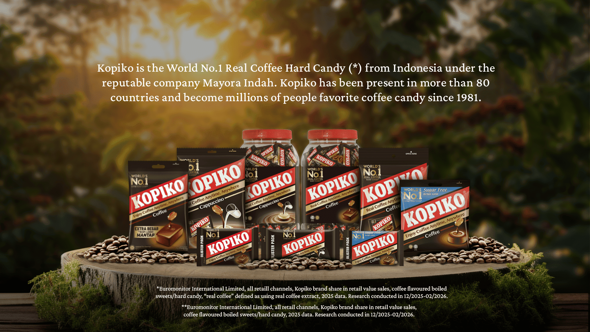 Home Banner Astronouts