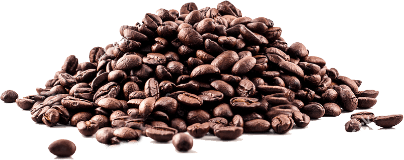 Coffee Beans Element